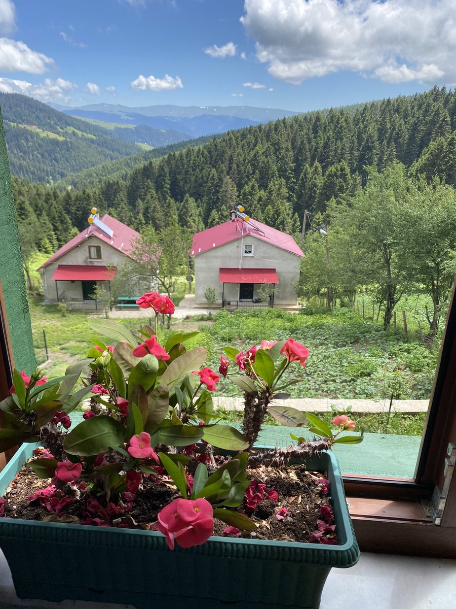 Muhteşem doğa mis gibi bir hava #giresun #kulakayayaylası