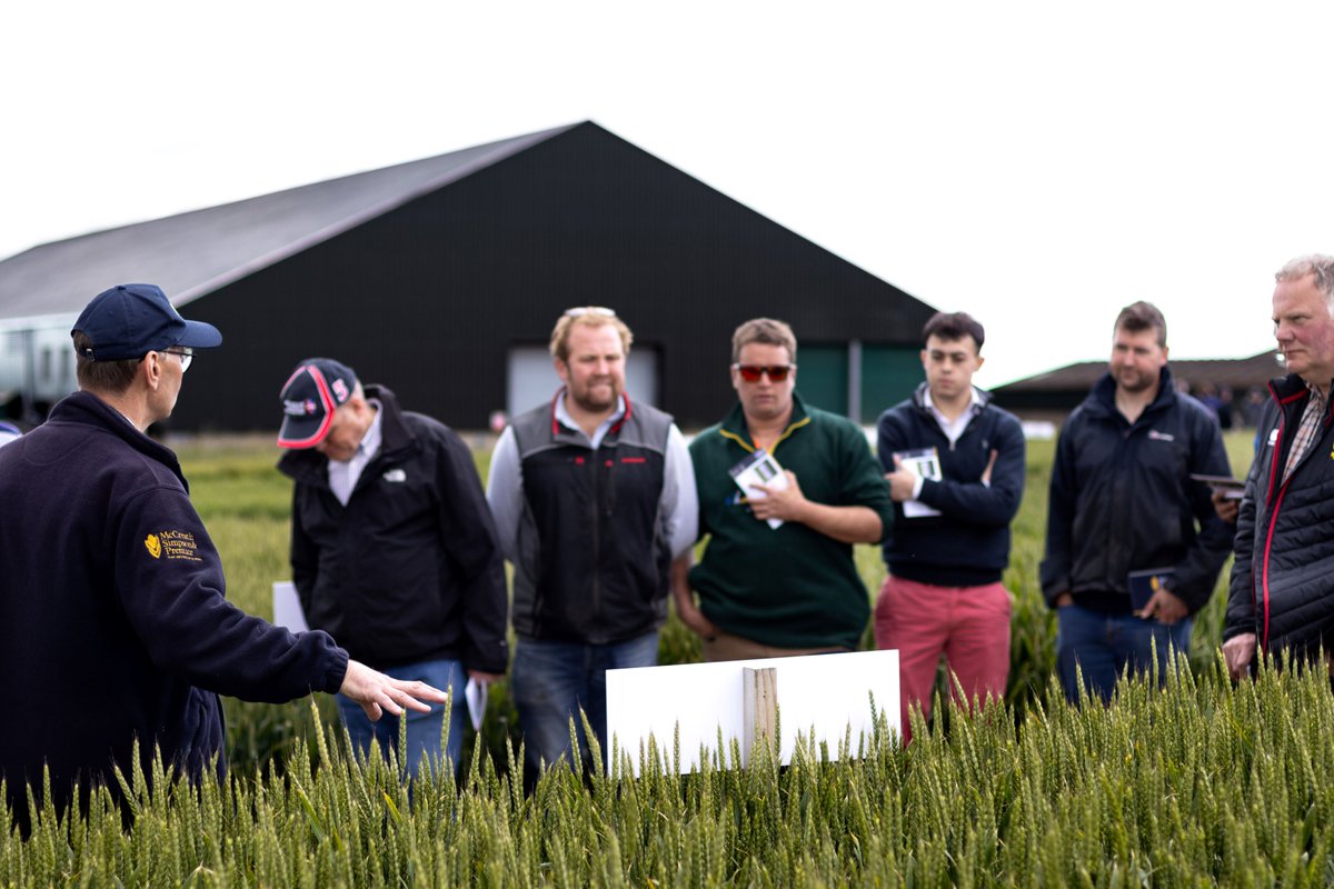 Simpsons Malt Ltd. tweet media