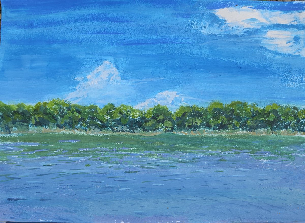 SnailCat1's tweet photo. Tried drawing plein air with my big brother for the first time! Any thoughts?
#traditionalart #gouache #pleinair #nature 
A4 gouache https://t.co/X8iWF6tg0o