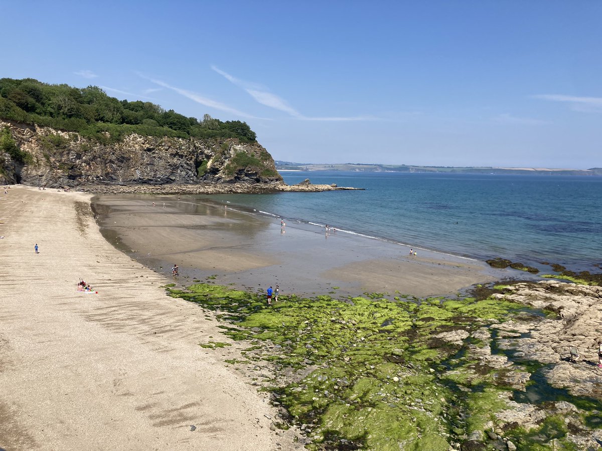 dovey_Mrs's tweet photo. Wednesday swim at my local beach #porthpean our local #Tory MP thinks it’s ok to vote to allow raw sewage to be dumped here! I think it’s criminal! @sascampaigns @Feargal_Sharkey @larrylamb47 #stoptheshitshow #nosewageonourbeahes https://t.co/ng9x74B31k