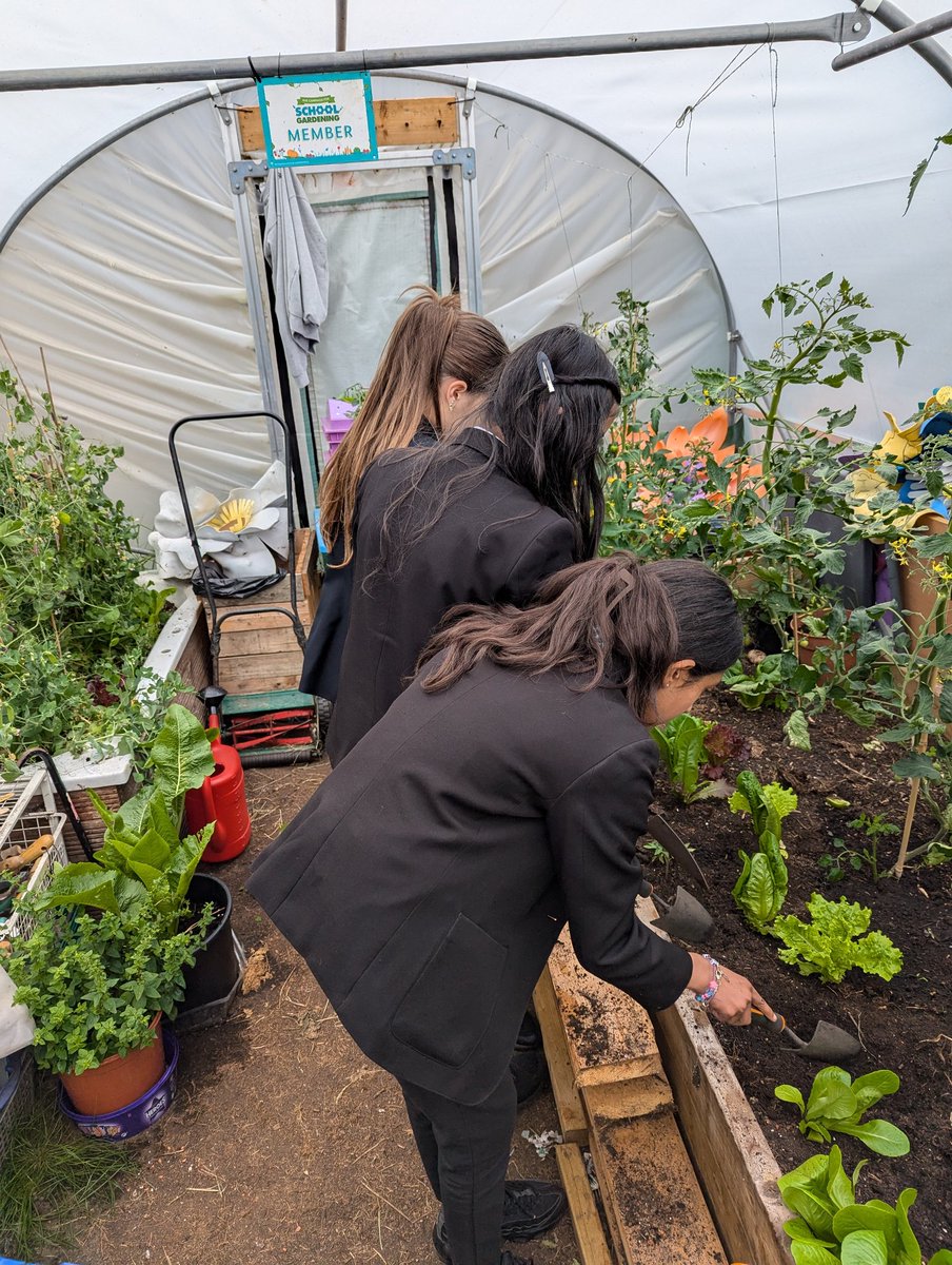 Fi Black tweet media