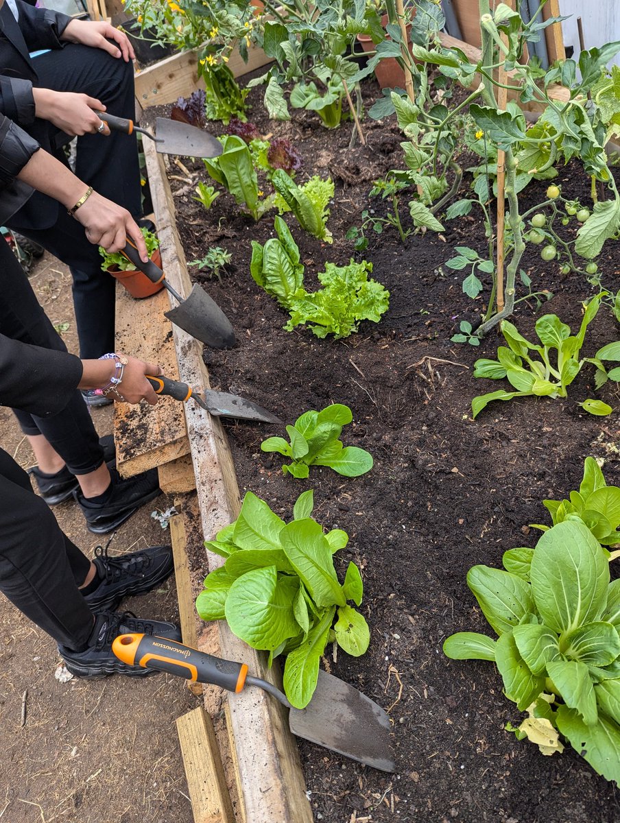 Fi Black tweet media