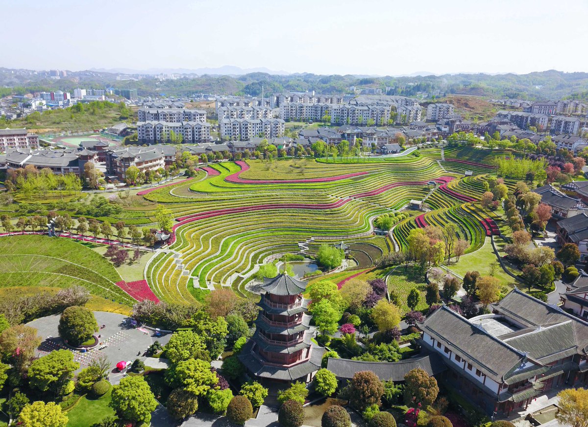 Live in Guizhou tweet media