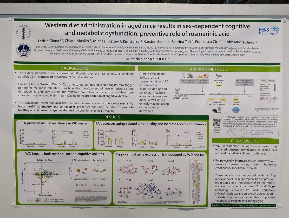 Letizia Giona tweet media