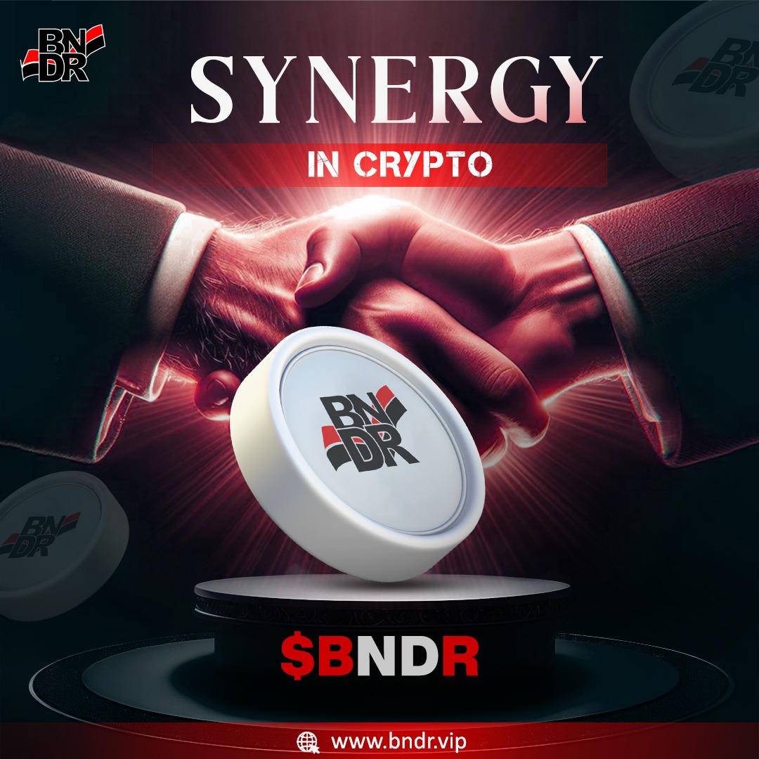 BNDR Coin tweet media
