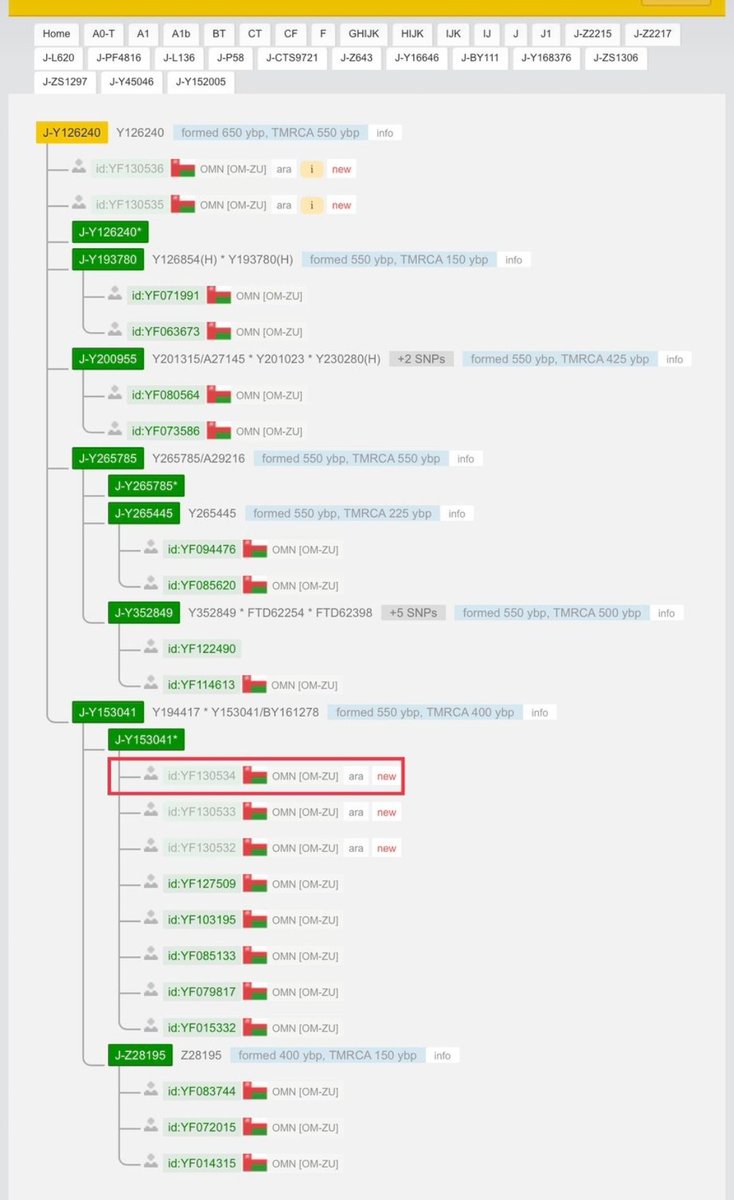قبيلة الحكلي ( القرا ) DNA tweet media