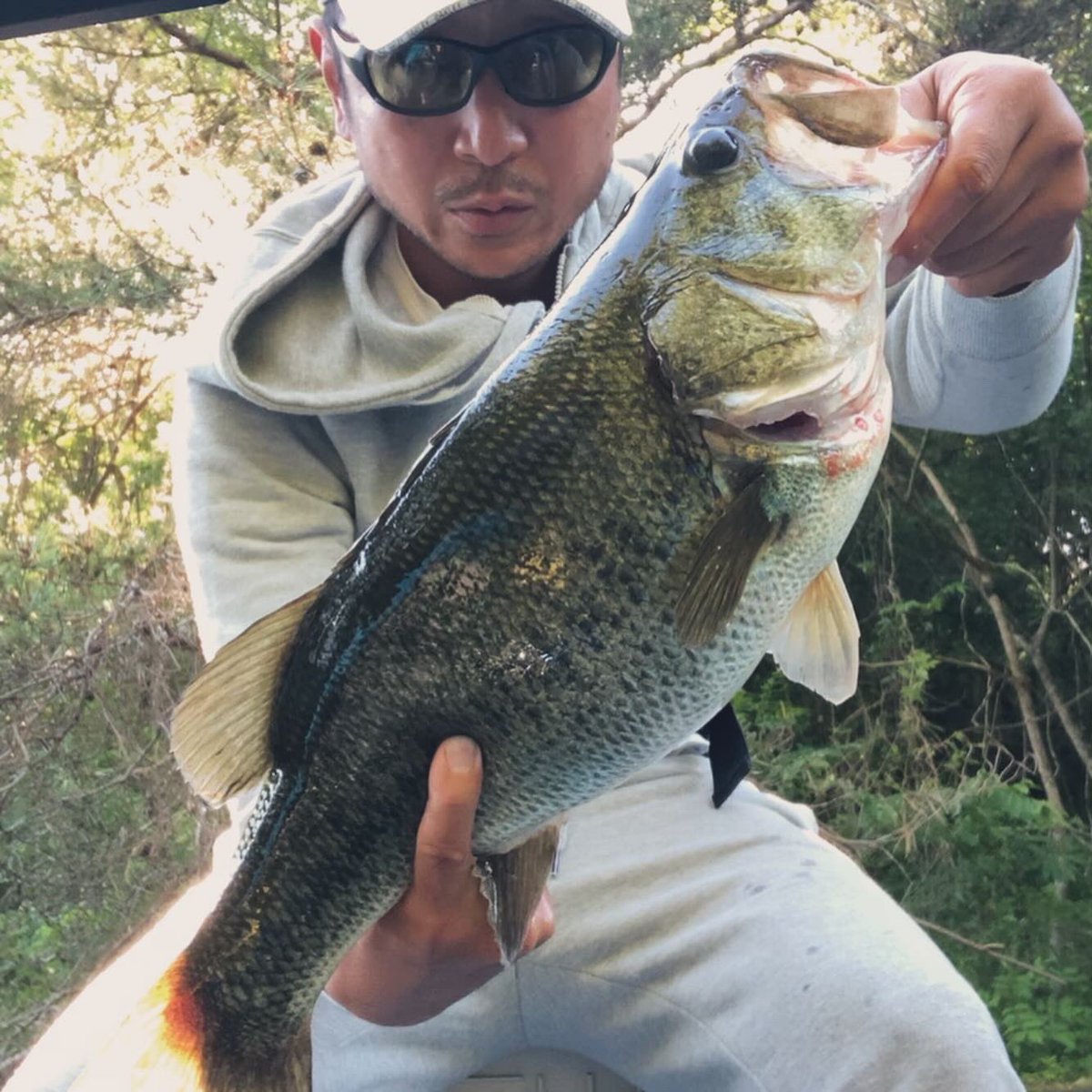 ogure23's tweet photo. 5月の七色ダム、入鹿池の魚とお食事

#入鹿池 #入鹿池バス釣り #やまひこ #やまひこ尾張旭店 #自由軒 #七色ダム #七色ダムバス釣り https://t.co/mE340ZVkVn