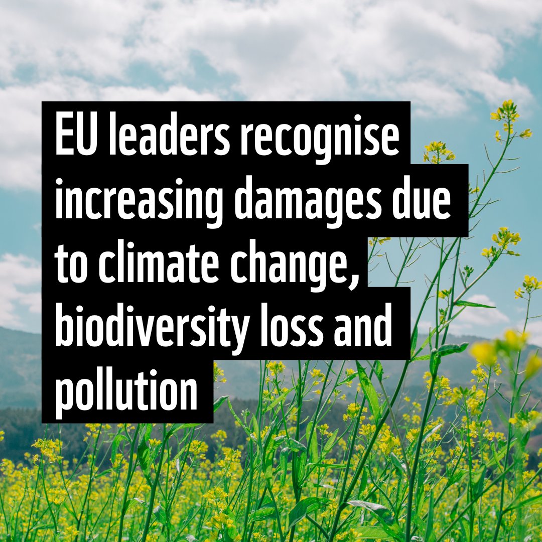 European leaders have agreed on the #StrategicAgenda, reaffirming their commitment to a just and fair climate transition and aiming for #ClimateNeutrality by 2050 🌍

Read our press release: wwf.eu/?14195366/Von-…