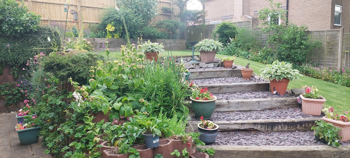 The garden looks happier now it is a bit cooler 😎