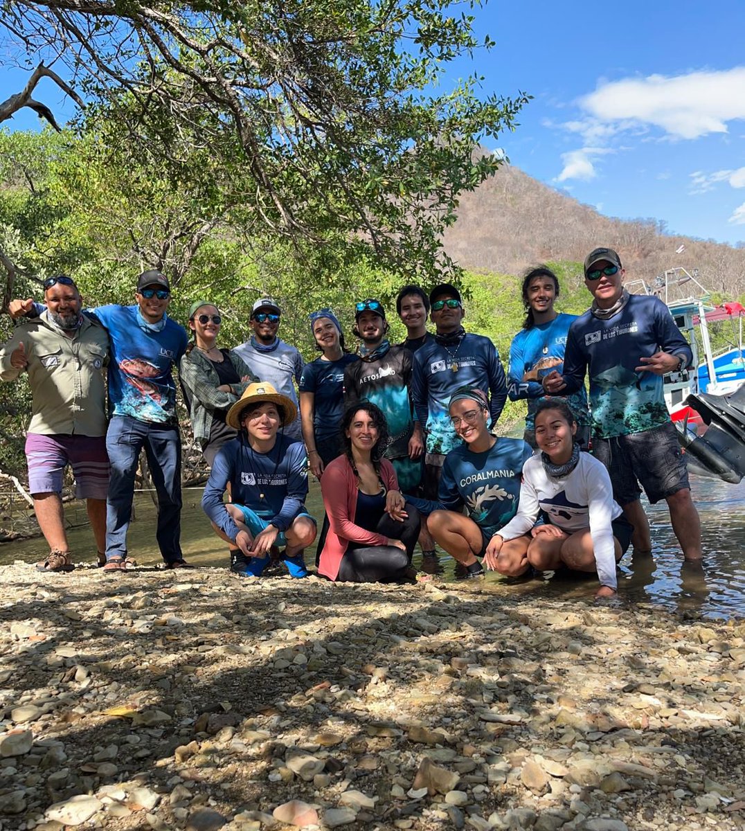Hagavil's tweet photo. Abro hilo de cómo los tiburones y rayas son los peces más cool, por qué los amo por sobre todas las cosas, aportes en pro de su conservación, datos de vital importancia para el desarrollo de la trama, y algunas cositas que aprendí en mi curso de este semestre! 🦈 https://t.co/9XmpgOgycg