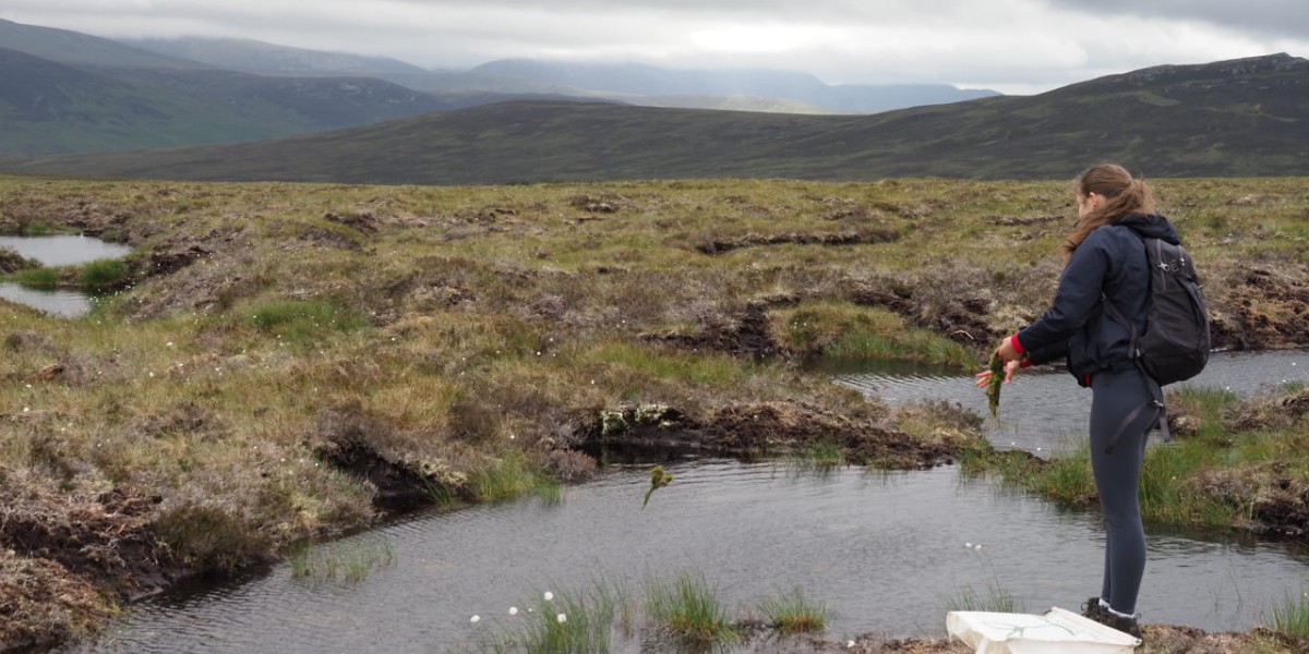 Mar Lodge Estate National Nature Reserve NTS tweet media