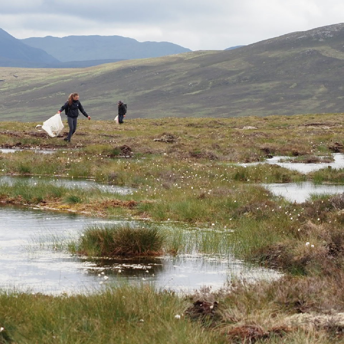 Mar Lodge Estate National Nature Reserve NTS tweet media