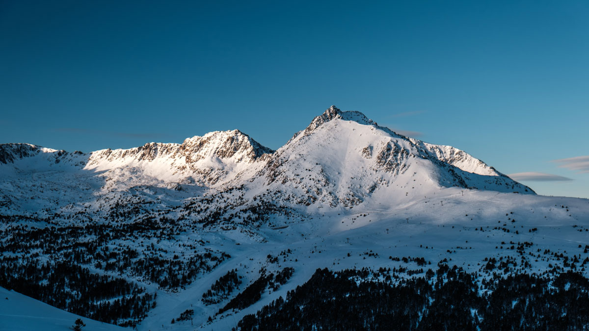 leshuttle_help tweet media