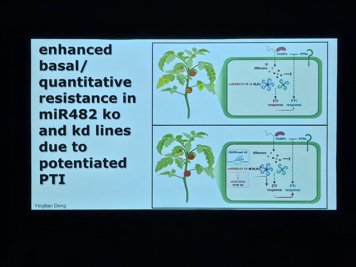 IPMB2024 tweet media