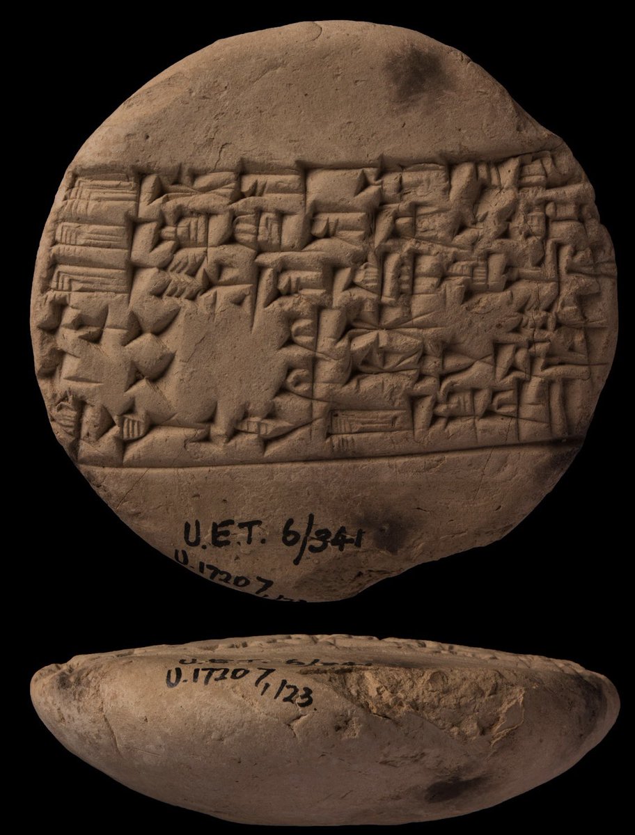 모에화캐디                                        원전