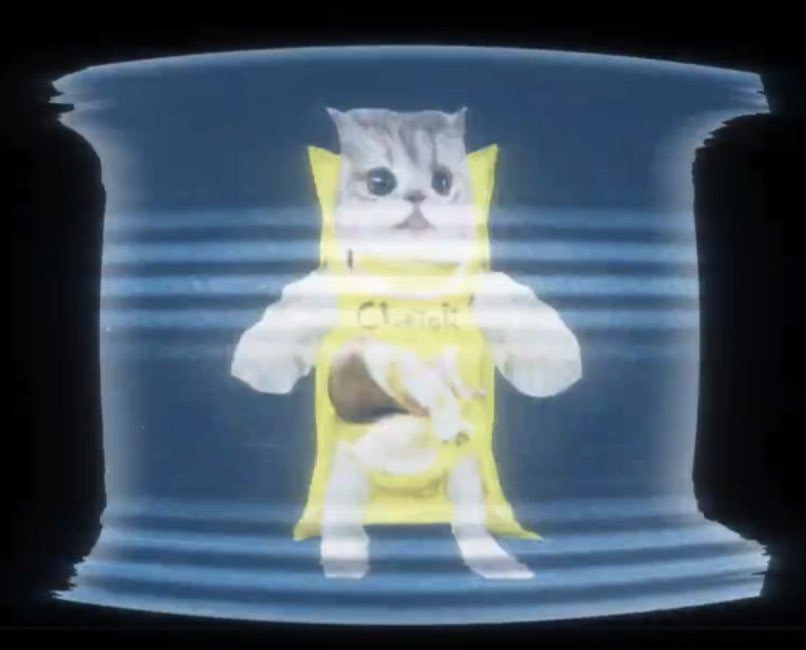 suki tweet media