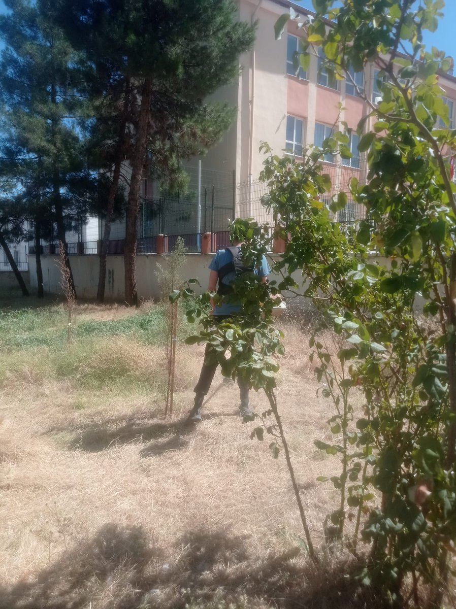 İş başa düştü. Okul bahçesinin kuru otlarını temizliyorum🤣🤣