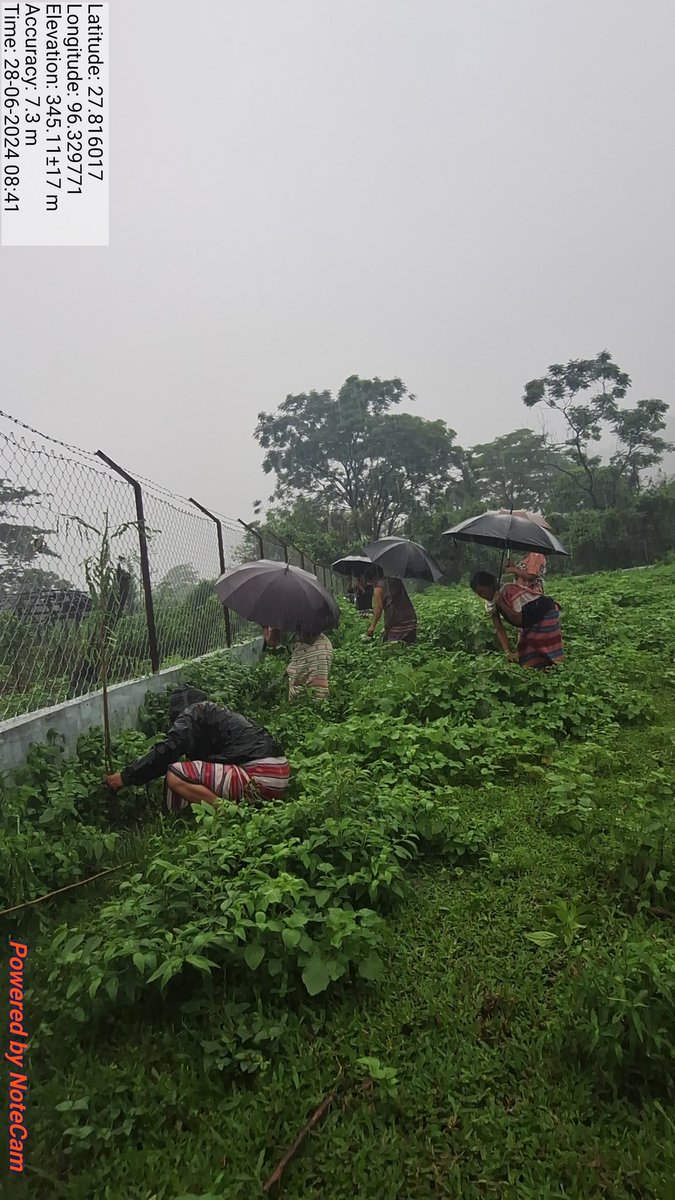 Kamlang Tiger Reserve tweet media