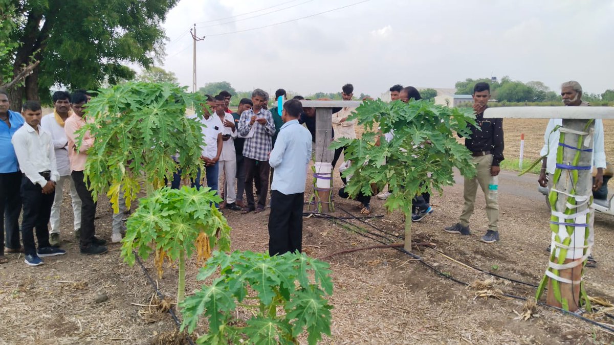 AtmaSabarkantha's tweet photo. @ADevvrat @CollectorSK
@sabarkanthadp @ATMAGUJARAT @JdaMehsana
ગુજરાત પ્રાકૃતિક કૃષિ વિકાસ બોર્ડ અંતર્ગત પ્રમુખ સ્વામી પ્રાકૃતિક કૃષિ પ્રશિક્ષણ કેન્દ્ર, સારંગપુર ખાતે શરૂ થયેલ તમામ તાલુકાની રાજ્ય અંદરની ત્રી-દિવસીય તાલીમમાં પોશિના તાલુકાની પાંચમી બેચે આજે પ્રથમ દિવસે તાલીમ મેળવી. https://t.co/l92NonI3p3