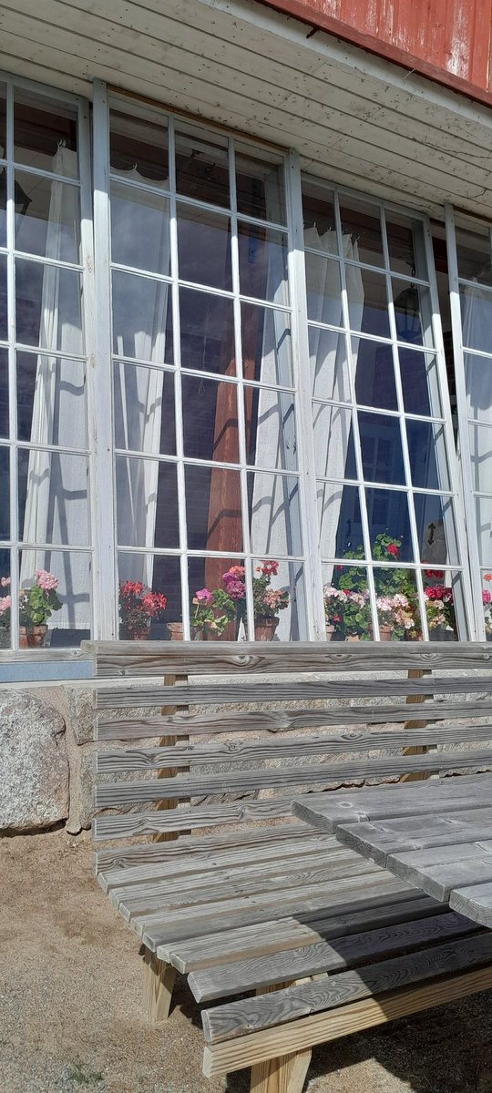 KastinenSisko's tweet image. Aspegrenin puutarha
#ansari