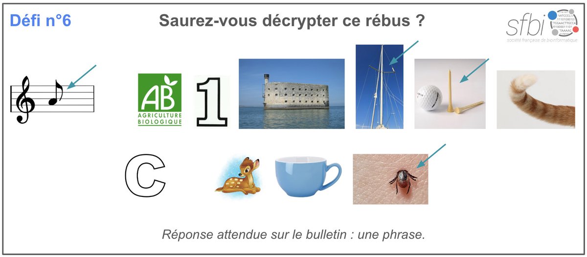 Nous y voila ! 😭 Le 6ème et dernier #défi #SFBI #JOBIM2024 en espérant que ça vous aura plu ! Glisses ton #bulletin de #participation #lisible dans l’#urne du #stand #SFBI avant 11h ! Bonne chance ! Rappel des #règles de #participation dans le fil … #DEFIJOBIMSFBI