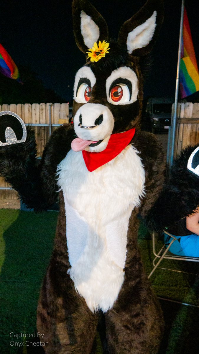 OnyxCheetah's tweet photo. Romp Reno's May meet Part 4/5

#fursuit #furmeet #furryphotos https://t.co/yAgrsqshI1