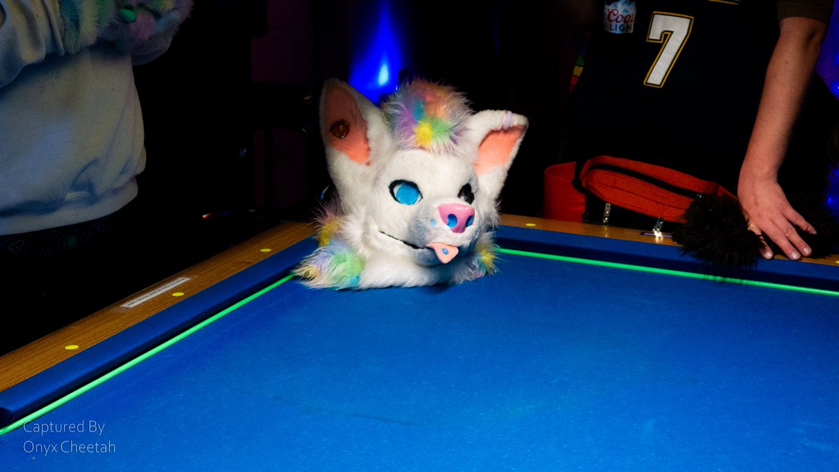 OnyxCheetah's tweet photo. Romp Reno's May meet Part 4/5

#fursuit #furmeet #furryphotos https://t.co/yAgrsqshI1