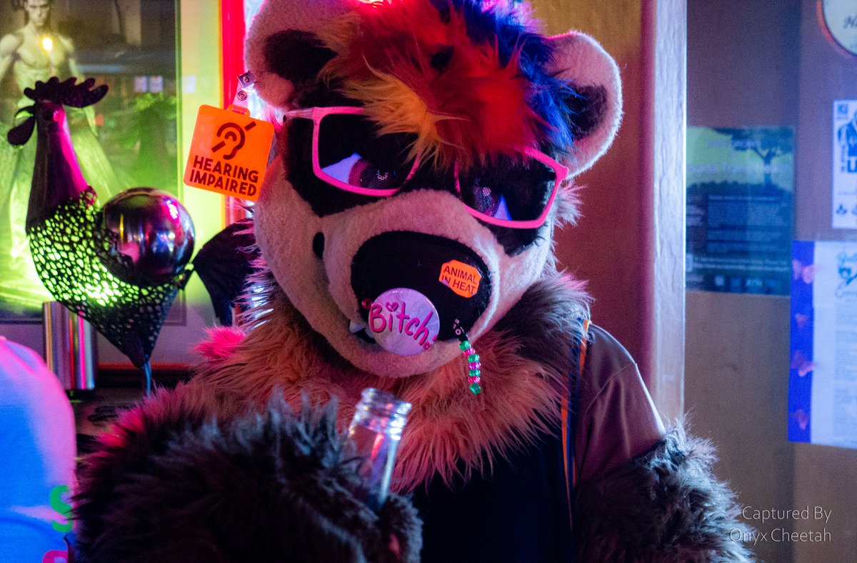OnyxCheetah's tweet photo. Gosh, I didn't post pics from May's @RompReno on here yet. Well, I guess that's okay as I can post June's sometime in July as I will be out of town for July's meet. 

But anyways, enjoy! I think I took a good fun pics that event!

Part 1/5

#fursuit #furmeet #furryphotos https://t.co/YgLlhhM8Ue