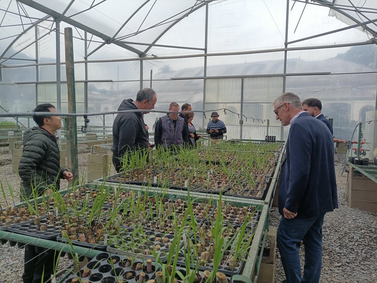 This week, the Technical Panel on Phytosanitary Treatments is meeting in Tucuman, hosted by Argentina's NPPO. Participants are visiting treatment facilities &amp; citrus nurseries, reviewing key phytosanitary treatments &amp; advancing global plant protection efforts!🌎

#PlantHealth🌱