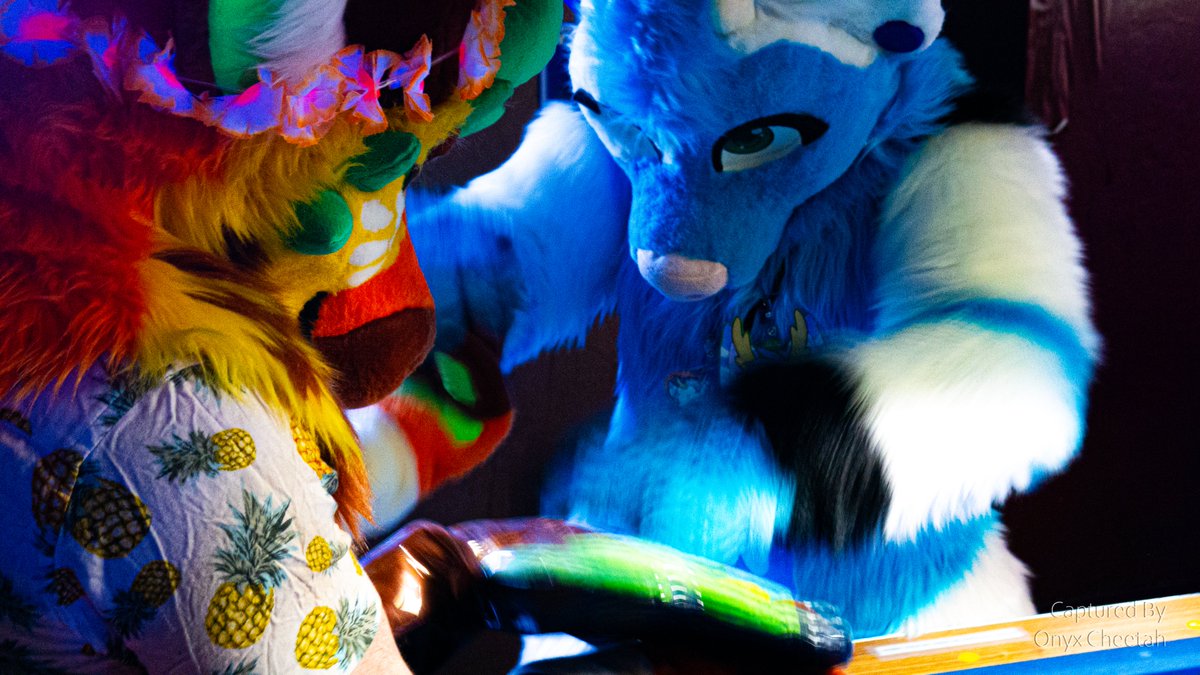 OnyxCheetah's tweet photo. Gosh, I didn't post pics from May's @RompReno on here yet. Well, I guess that's okay as I can post June's sometime in July as I will be out of town for July's meet. 

But anyways, enjoy! I think I took a good fun pics that event!

Part 1/5

#fursuit #furmeet #furryphotos https://t.co/YgLlhhM8Ue