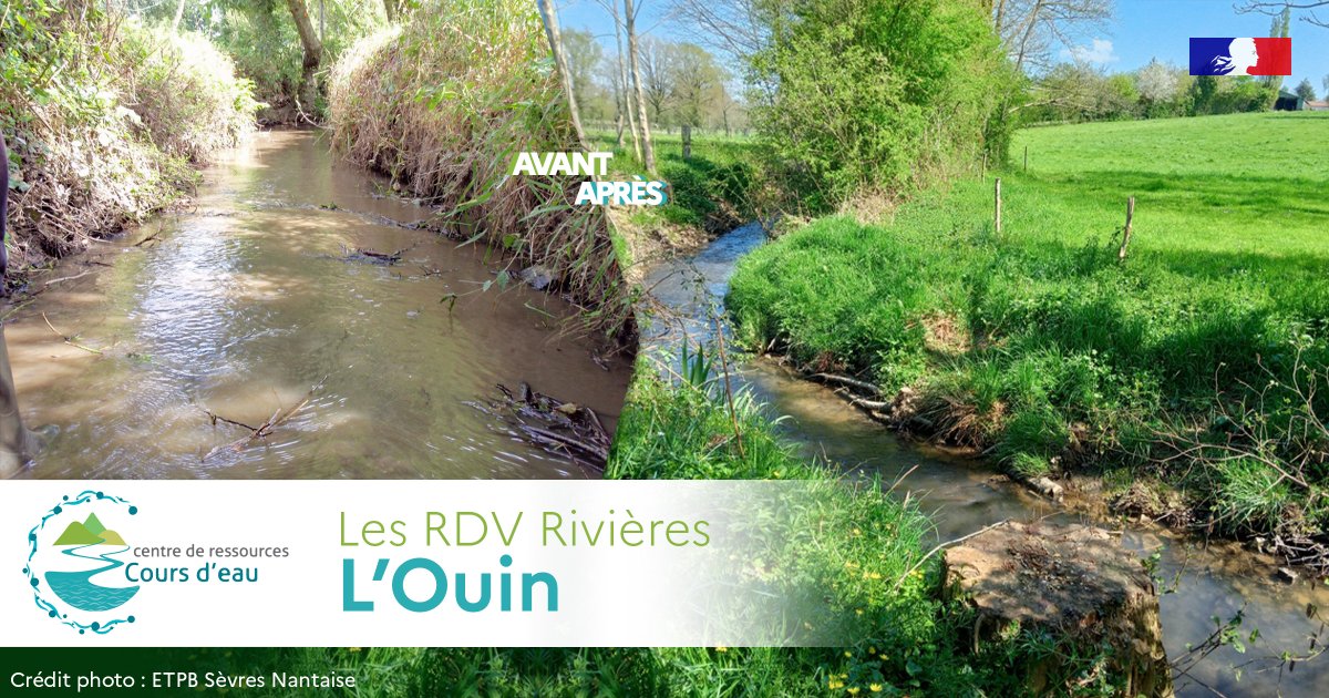 OFBiodiversite's tweet photo. 🏞️[Les RDV Rivières] L'Ouin

🚧 L’ EPTB Sèvre Nantaise a restauré le petit cours d’eau de l’Ouin et 12 hectares de zones humides environnantes. De nombreuses espèces animales et végétales ont pu coloniser cet espace

👉https://t.co/sP09UGouJv https://t.co/LzL1R1zc0q
