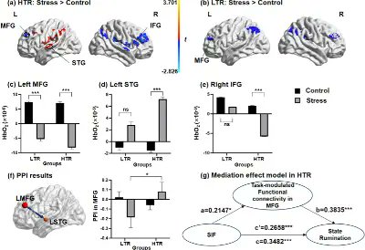 CionekJackson's tweet photo. Acute stress impairs intentional memory suppression through aberrant prefrontal cortex activation in high trait ruminators
@congressobrain
#Brain2024
#OHBM2024
#FeSBE2024
#SBNeC2024
#SfN2024
https://t.co/w4YoZk782t https://t.co/Ma1Nzzz24a
