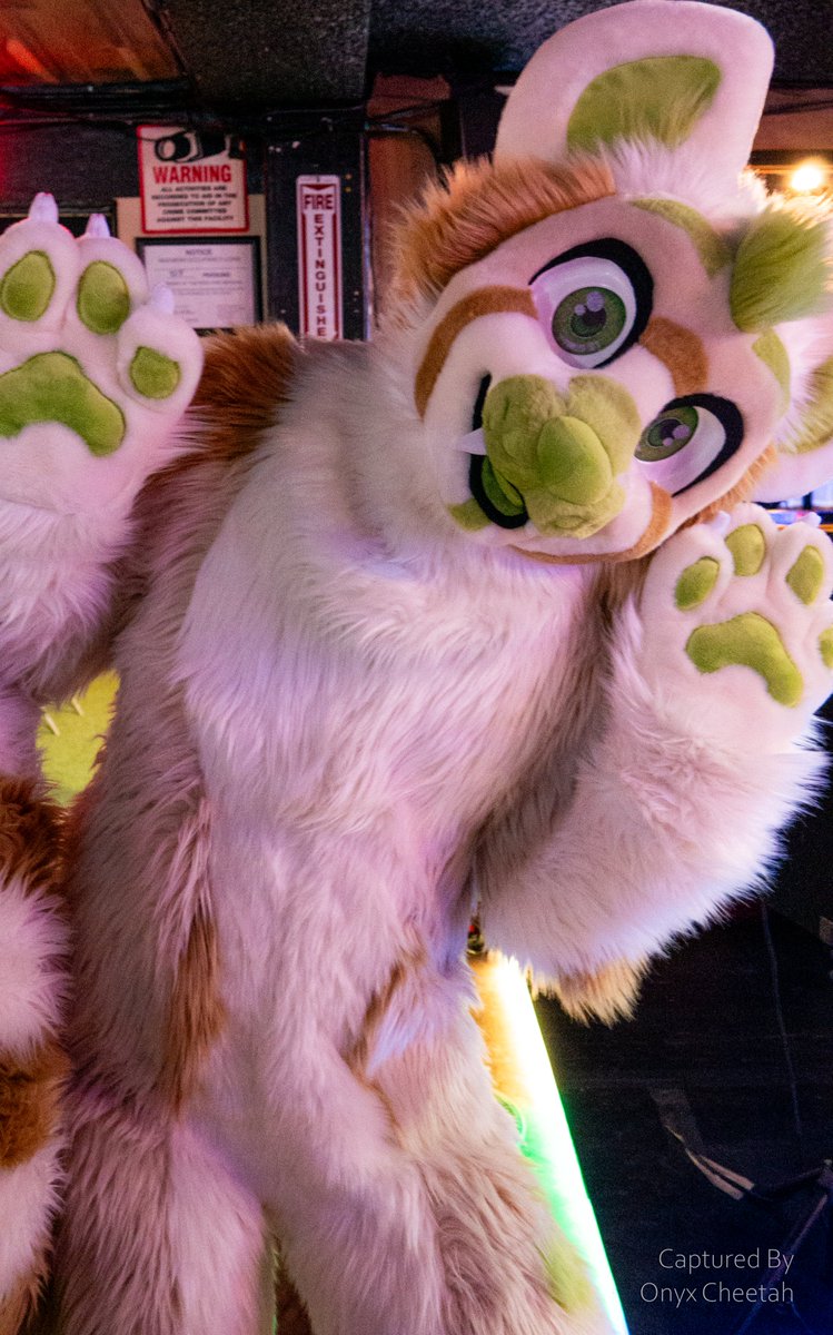 OnyxCheetah's tweet photo. Romp Reno's May meet Part 2/5

#fursuit #furmeet #furryphotos https://t.co/Mo2v7B68ew