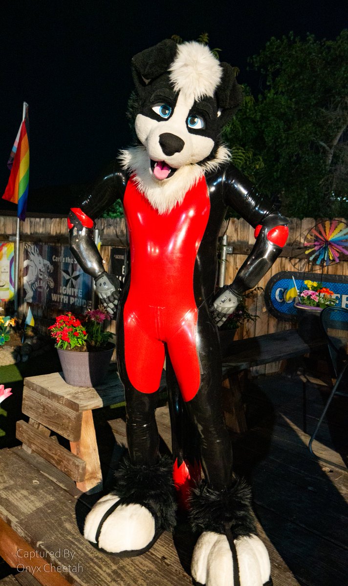 OnyxCheetah's tweet photo. Romp Reno's May meet Part 2/5

#fursuit #furmeet #furryphotos https://t.co/Mo2v7B68ew