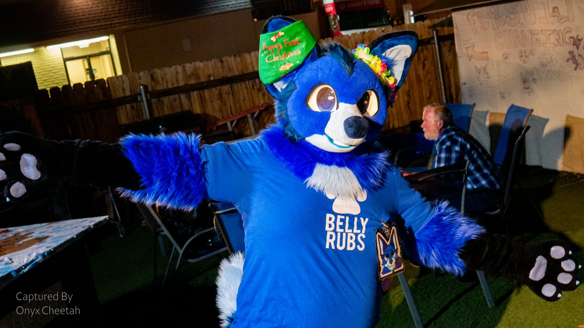 OnyxCheetah's tweet photo. Romp Reno's May meet Part 2/5

#fursuit #furmeet #furryphotos https://t.co/Mo2v7B68ew