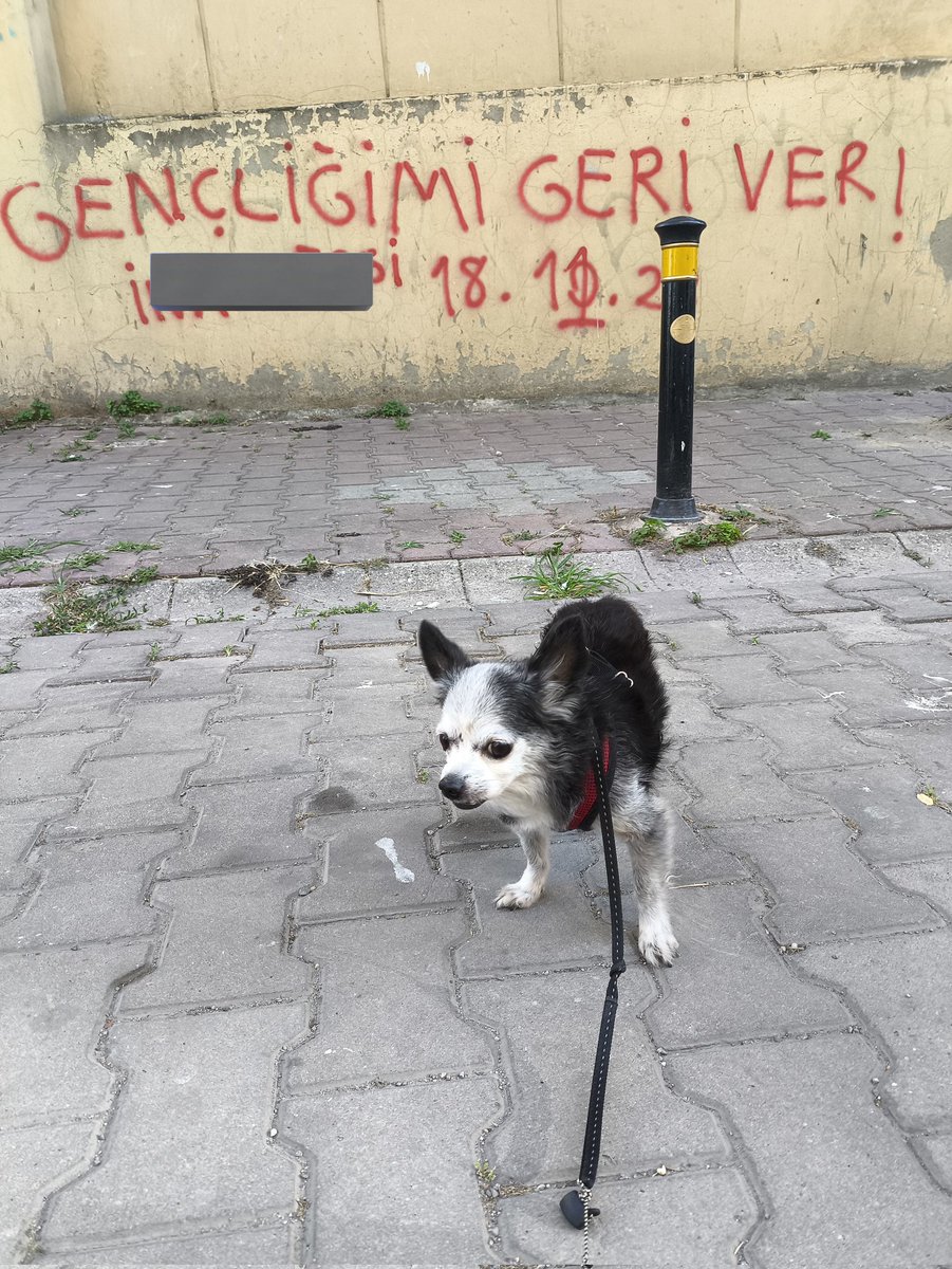 Mustafa A.✍️ (@speddykatip) on Twitter photo 