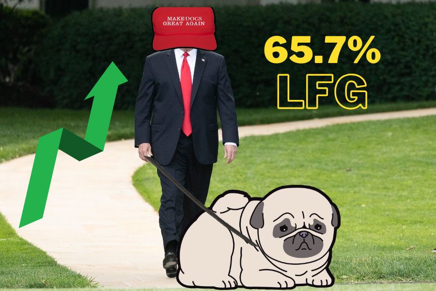PUGGYWTF's tweet photo. Bruh.... DT is likely to win with a 65.7% chance. 
$Puggy should go up with'em though... lol 🐶
Both of us deserve a second chance 🥲

#puggy #makedogsgreatagain #meme #memecoin #crypto #cryptonews https://t.co/ioE3c9E7yW