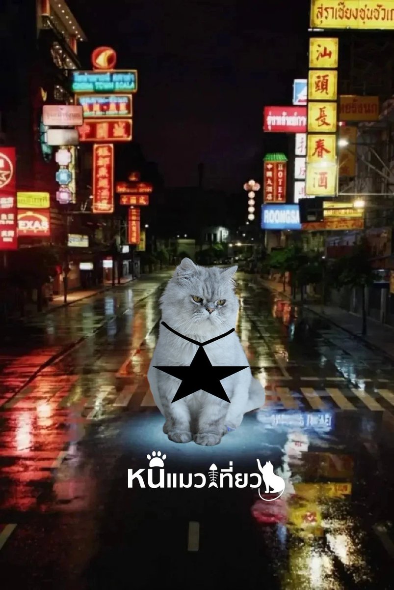 หนีแมวเที่ยว RockStar
youtu.be/hbcGx4MGUMg?si…

#Rockstar #lisa #LISAxROCKSTAR