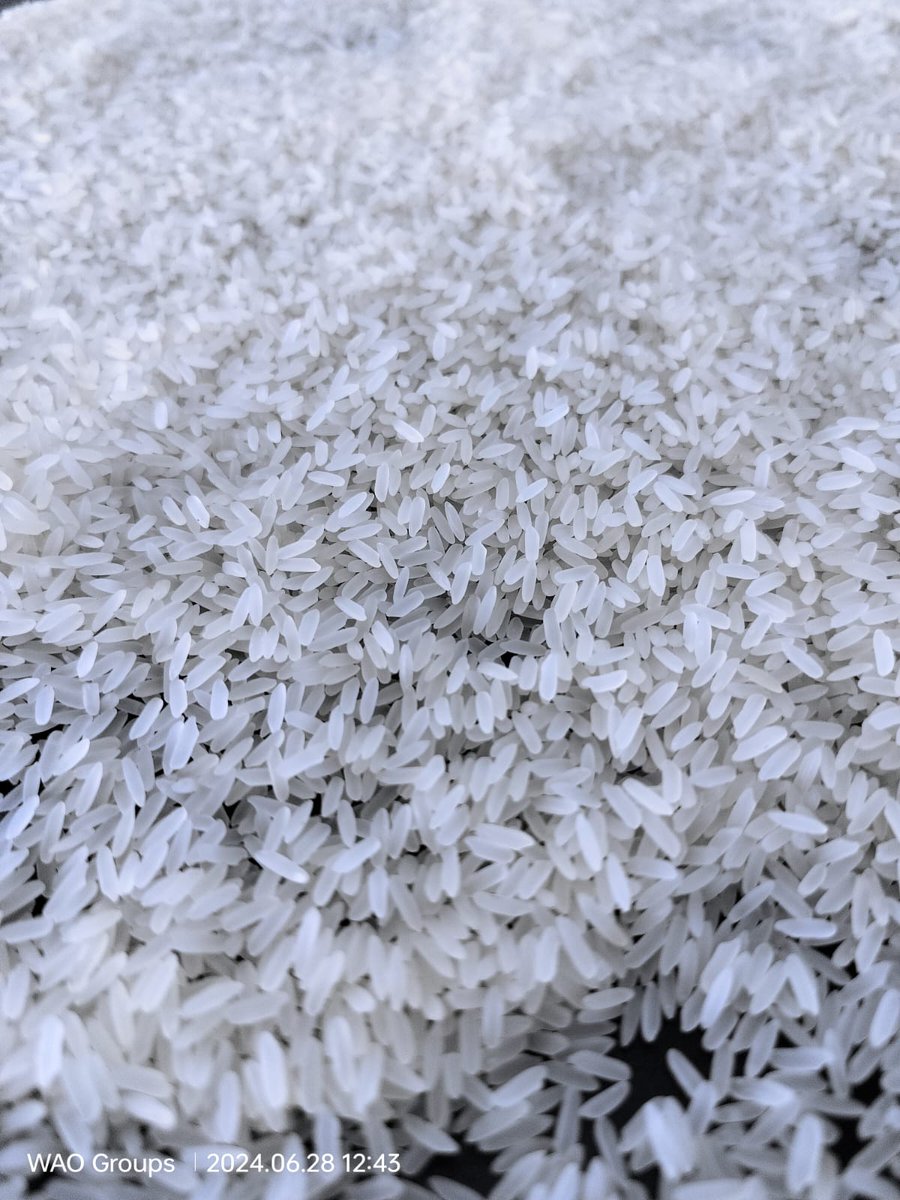 WeAreOcean_'s tweet photo. 28/06/2024 - AVAILABLE IR 64 RAW RICE
We "WEARE OCEAN" Export is in good position, we will always ensure you our Best Price, and BestQuality.
Please ping us.
Email:procurement@weareoceanexport.com
Call/WhatsApp: +91 72001 80398
#weareocean #wao #ir64rawrice #rawrice #ir64 https://t.co/RzBNHeGd4B