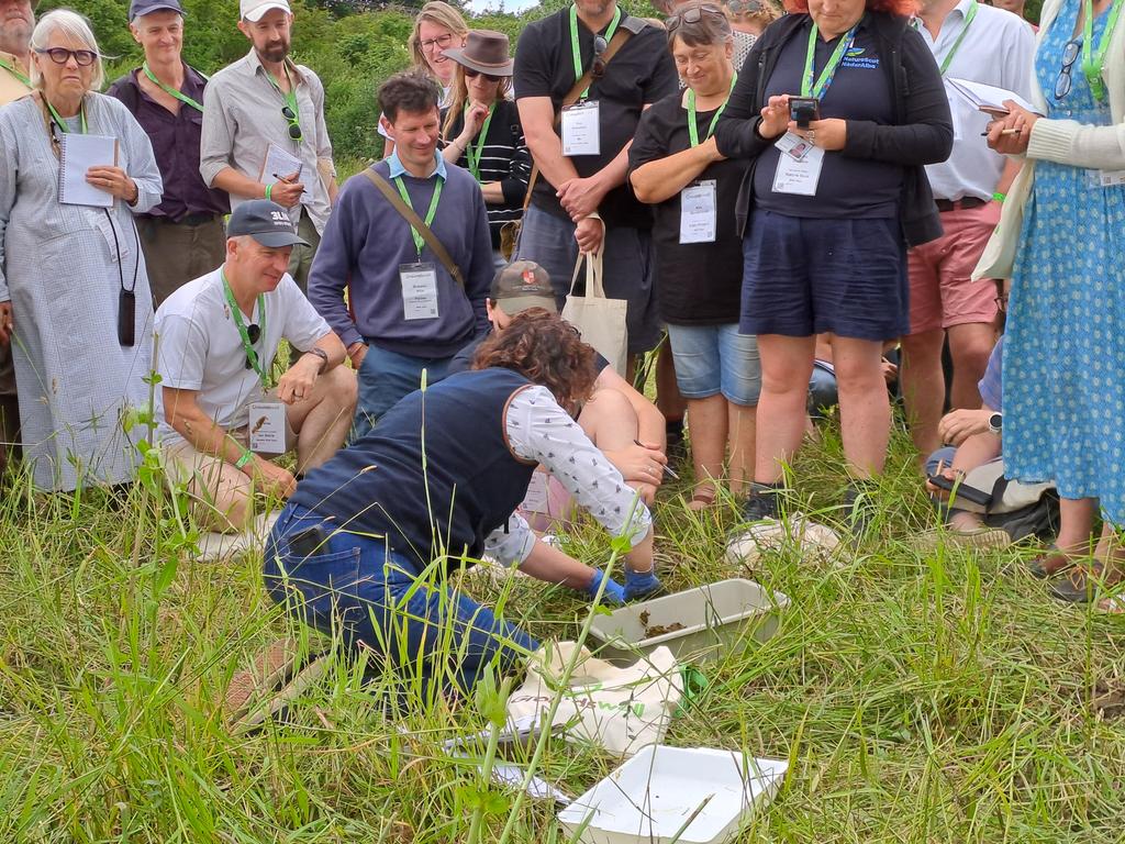 kelly_jowett's tweet photo. @DungBeetleFarms dung beetle safari pt1 @SallyAnn_Spence and her astounding knowledge π #coleoptera #dungisfun #teambeetle https://t.co/zBRS1KRE4A