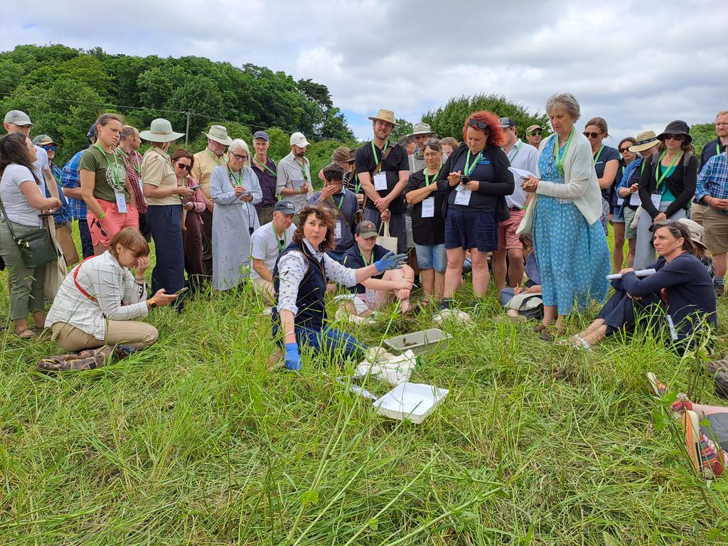 kelly_jowett's tweet photo. @DungBeetleFarms dung beetle safari pt1 @SallyAnn_Spence and her astounding knowledge π #coleoptera #dungisfun #teambeetle https://t.co/zBRS1KRE4A