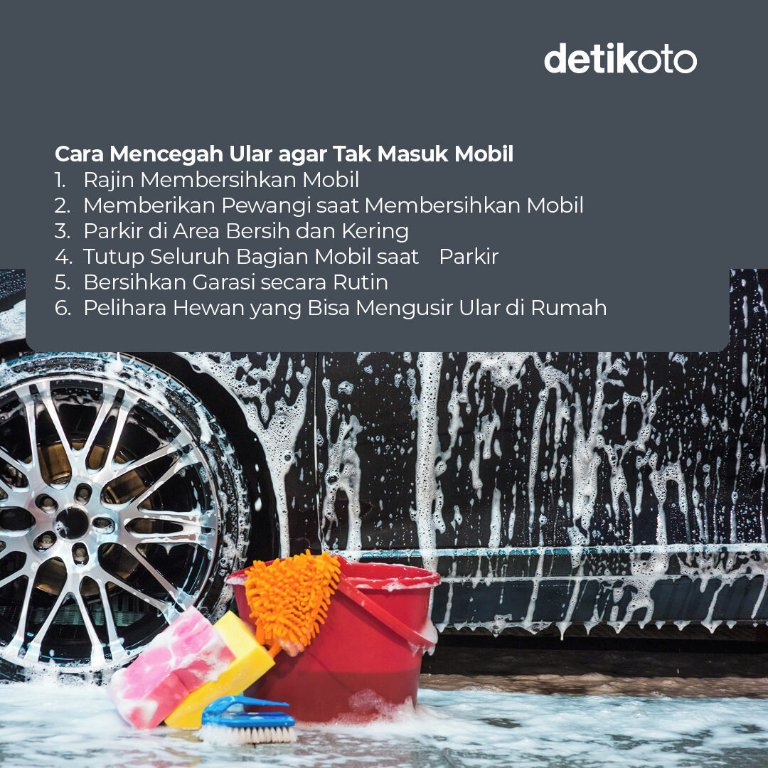 detikoto's tweet photo. Jika ular yang bersarang di mesin mobil tidak segera ditangani, dapat menimbulkan korsleting dan kebakaran. 😱⁣
⁣
Berikut cara mencegah dan mengusir ular yang terlanjur bersarang di mobil. 😎⁣
⁣
>> https://t.co/SI54ElDEdu

#detikoto #otomotif #ototips #ular https://t.co/53EKYacf7l