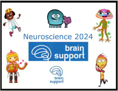 Neuroscience Meeting 2024 - Chicago for Neuroscience
<a href="/congressobrain/">congressobrain</a>
#Brain2024
#OHBM2024 
#FeSBE2024 
#SBNeC2024 
#SfN2024
#CBDCdeVarejo
#DrexCidadao
#Patriotas
#PoliticaBioSocial
#Democracia
#LiberdadeFinanceira

brainsupport.co/blog/nirs-eeg-…