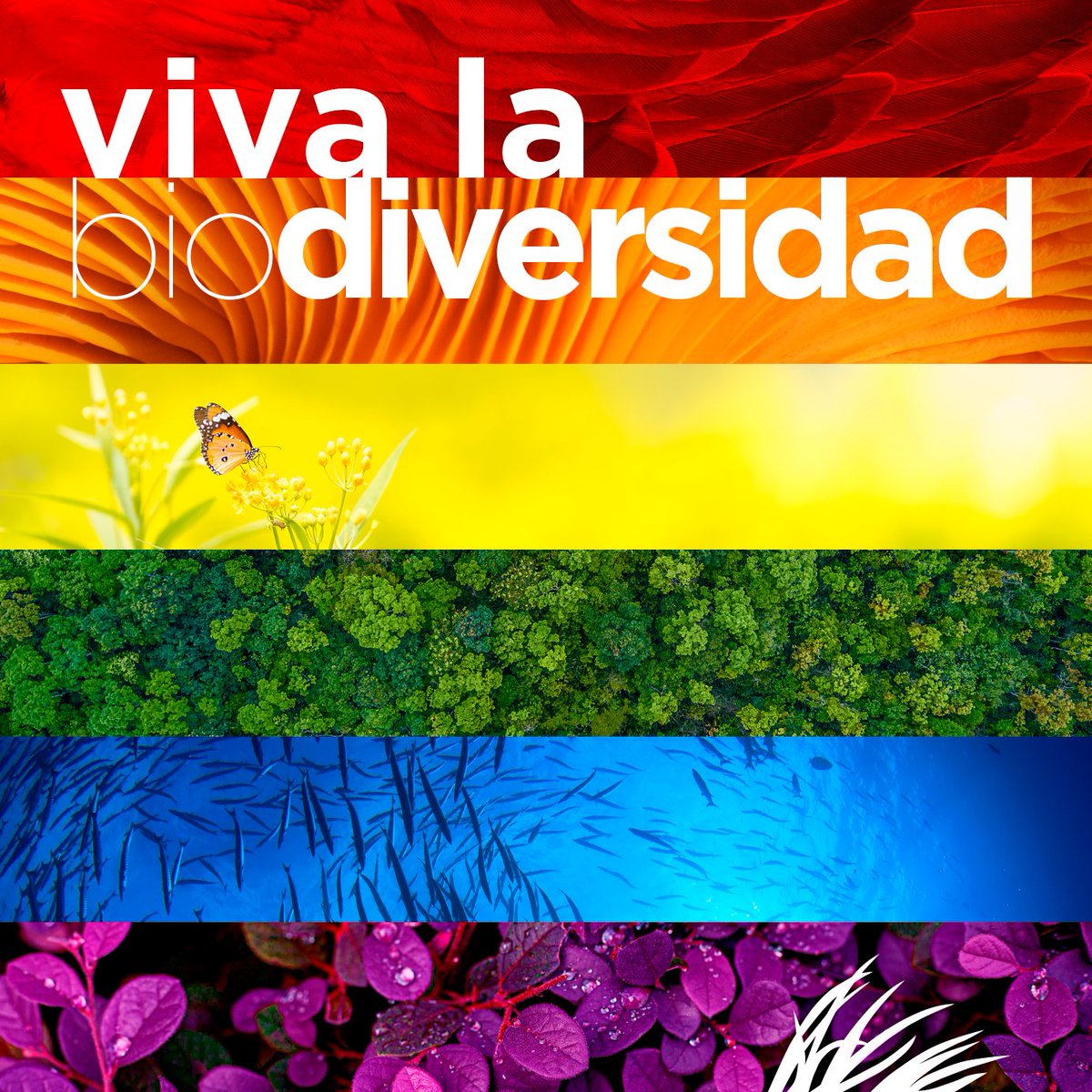 Viva la biodiversidad 🏳️‍🌈

¡Feliz #Orgullo2024!

#OrgulloLGTBI #DíaDelOrgullo