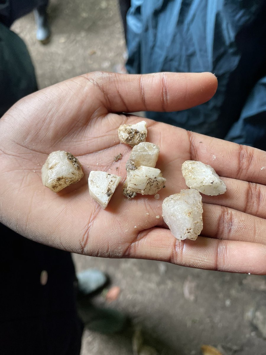 Caving discoveries this morning as part of #alleynsy7 #AlleynsAW