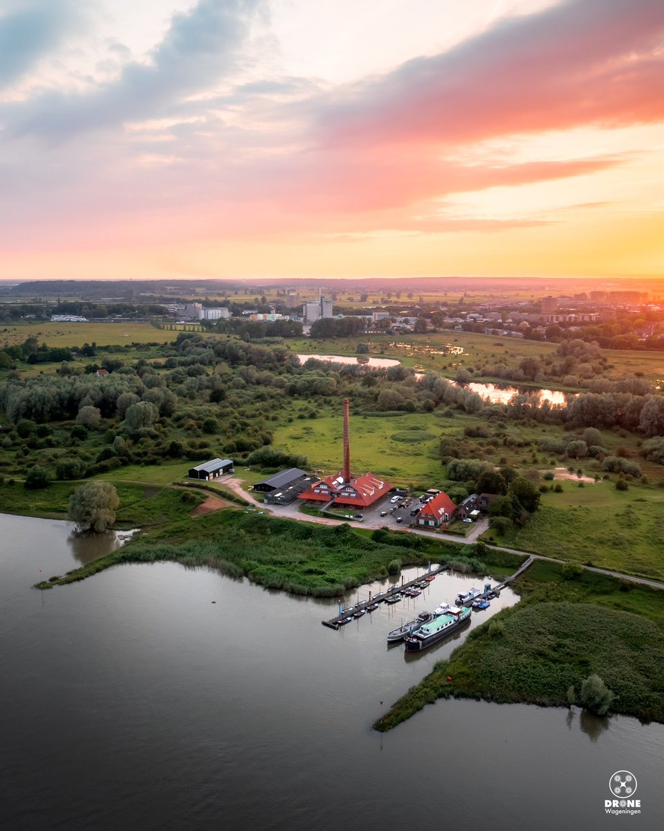 Perfect summer days for chilling at the river😎#rhine #river #summervibes