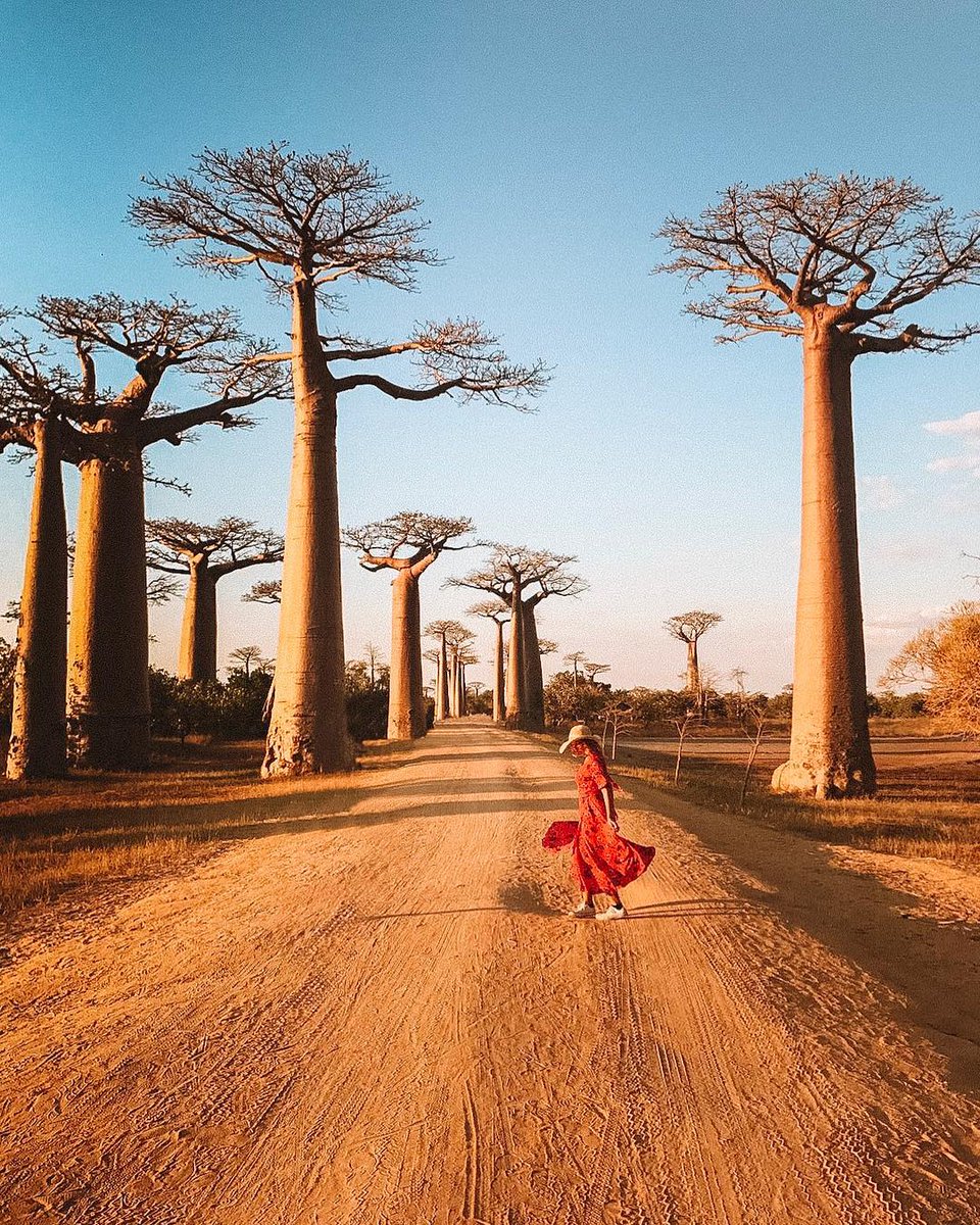 Madagascar Tourism tweet media