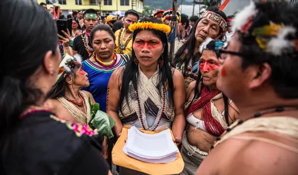 David Hill tweet media