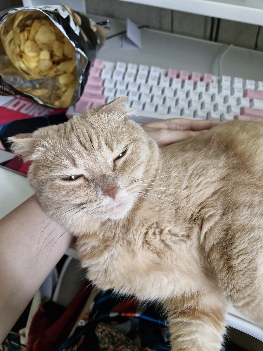 Вот кто по-настоящему кайфует от этой жизни.