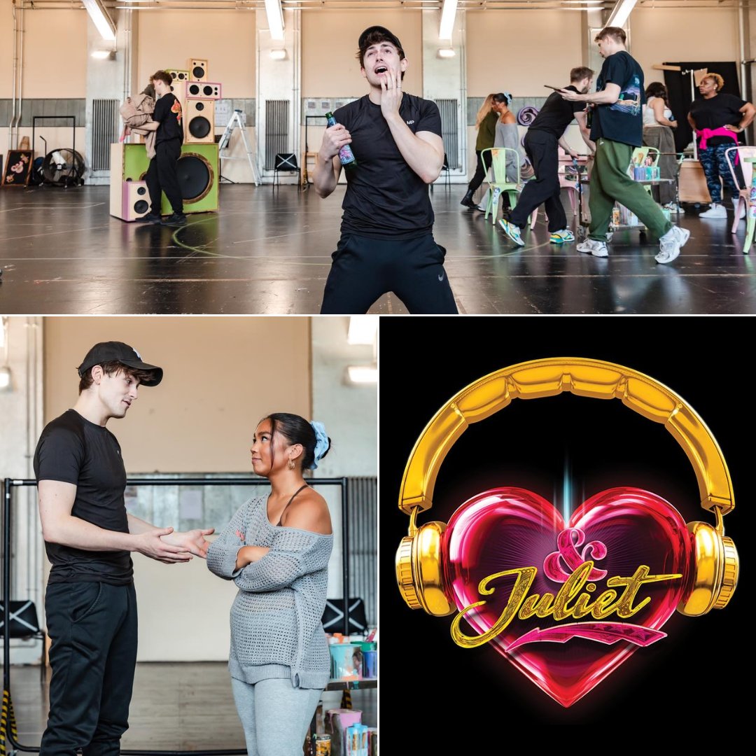 Bird College tweet media